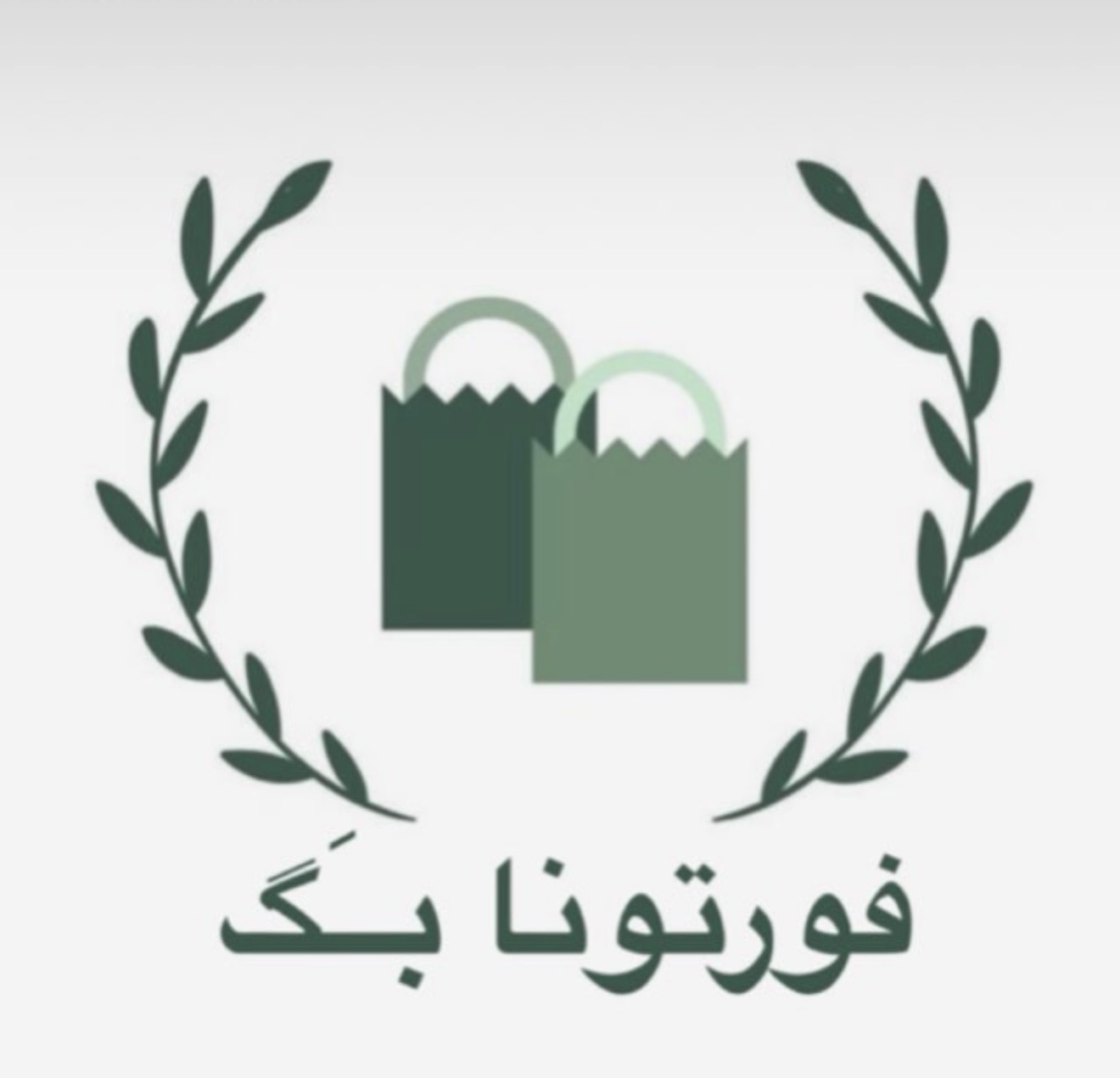 فورتونا بگ